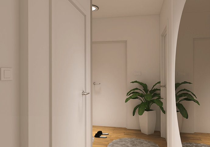 Venus Interior
