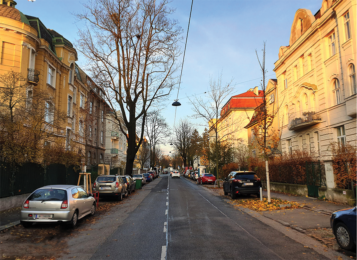 Venus Street